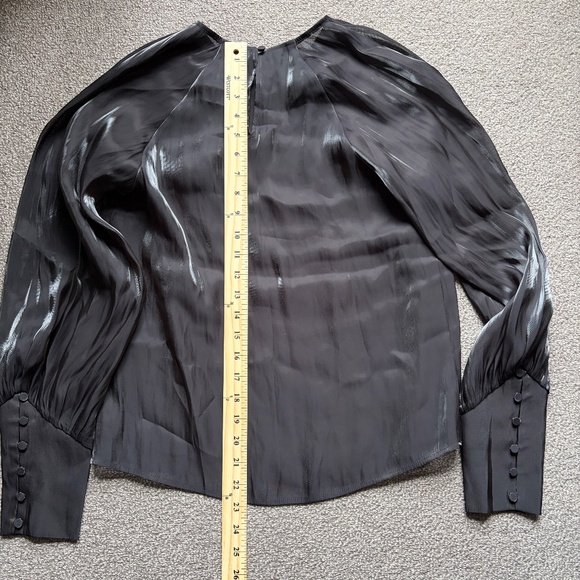 Express NWT $50 Womens Satin Shimmer Sheer Blouse Long Sleeve Top | Size XS - Picture 8 of 15